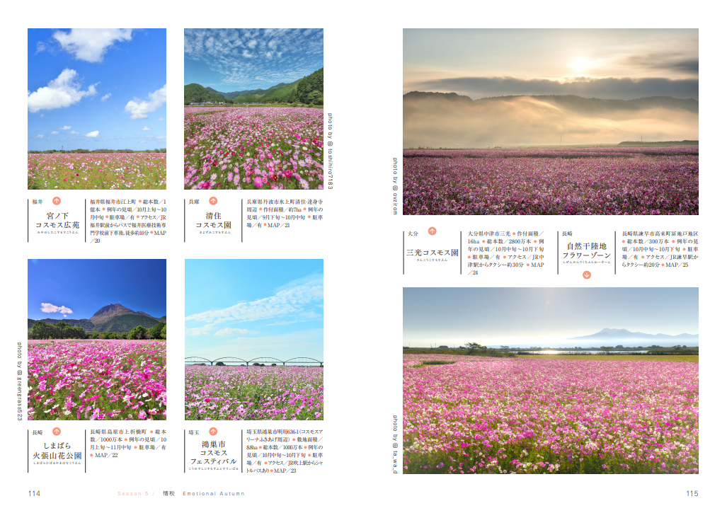 NEW格安 四季の花々を訪ねていきたいにっぽんの花地図/はなまっぷ - 通販 - :9784048975063:Honya Club.com