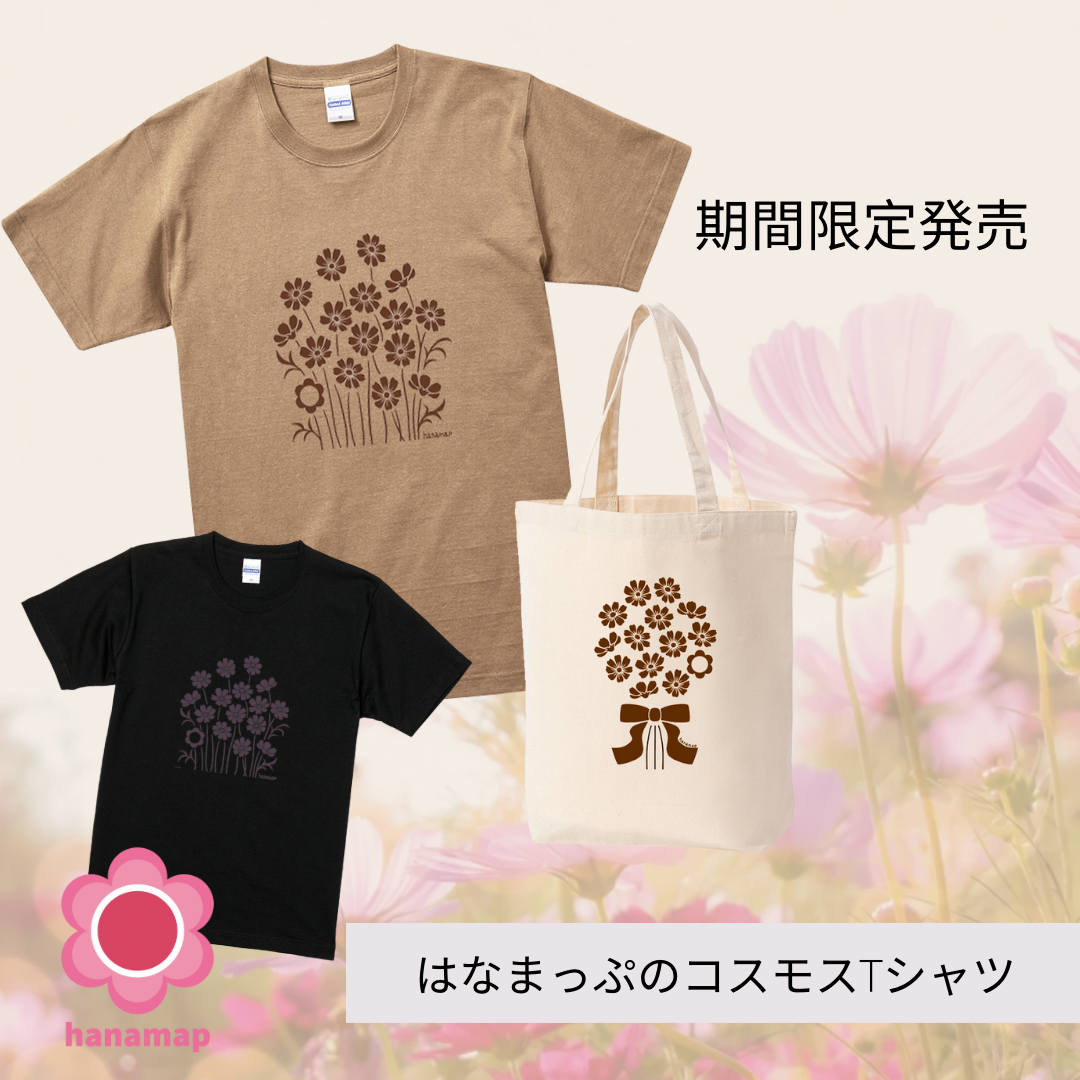 コスモスTシャツ販売中