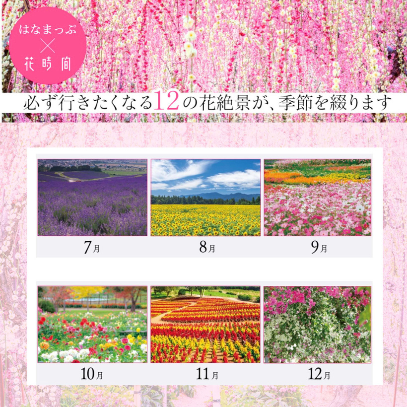 にっぽんの花地図 絶景カレンダー2025 | 新着情報 | 「日本全国の花