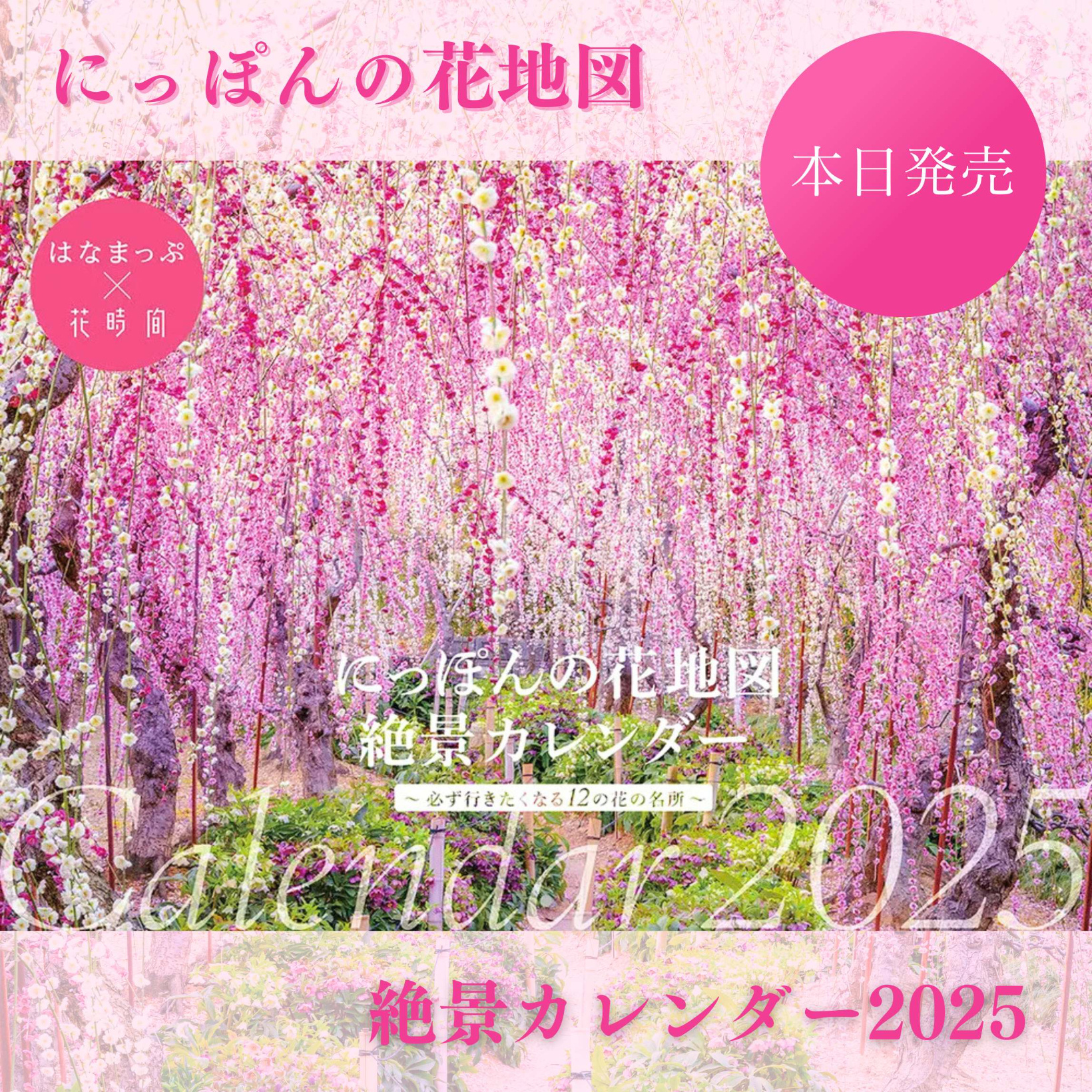 にっぽんの花地図 絶景カレンダー2025 | 新着情報 | 「日本全国の花