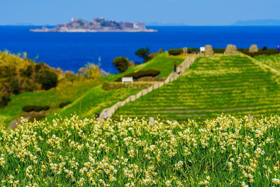 軍艦島と水仙が見渡せる絶景！野母崎総合運動公園・水仙の里 | 長崎県