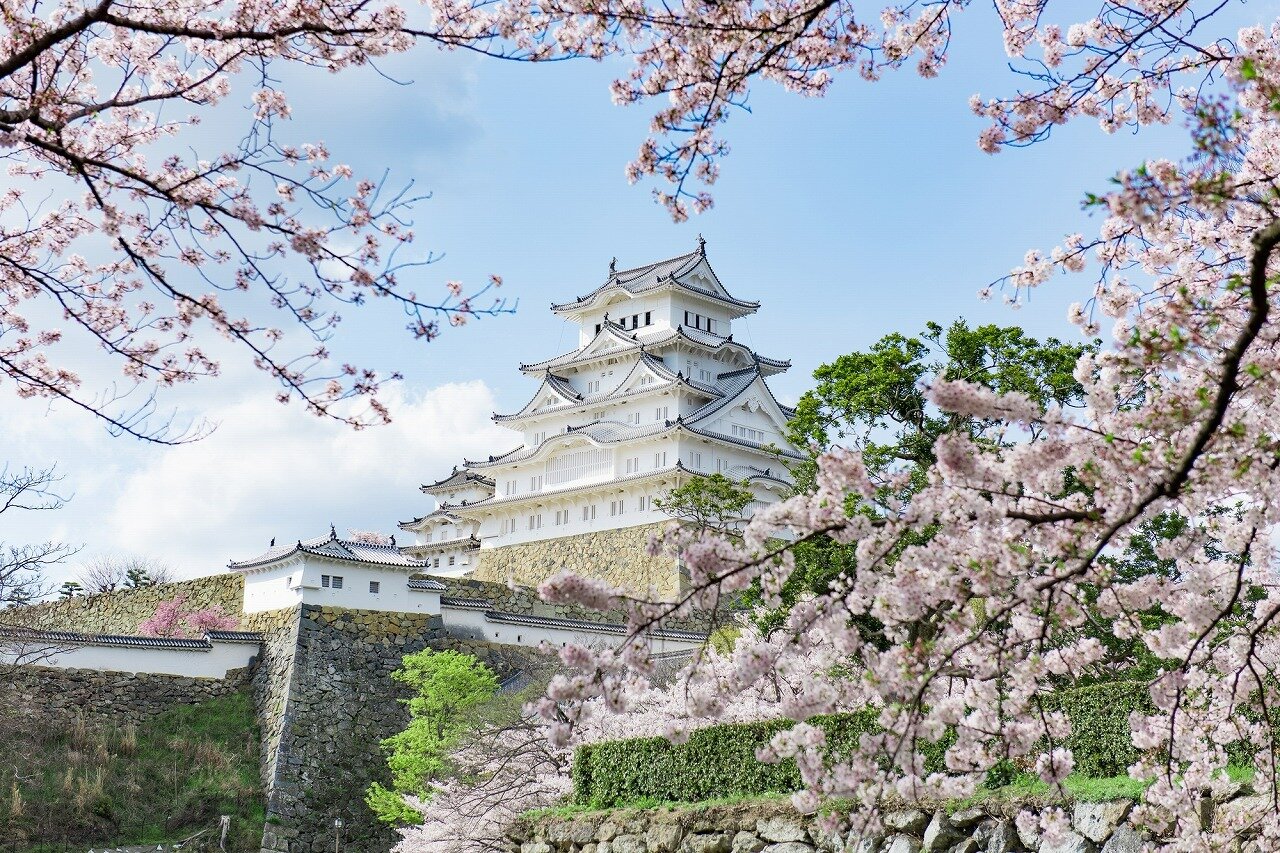 姫路城 兵庫県 全国の花風景 はなまっぷ 日本の美しい花風景 花の名所検索サイト 絶景のお花畑を見に行こう