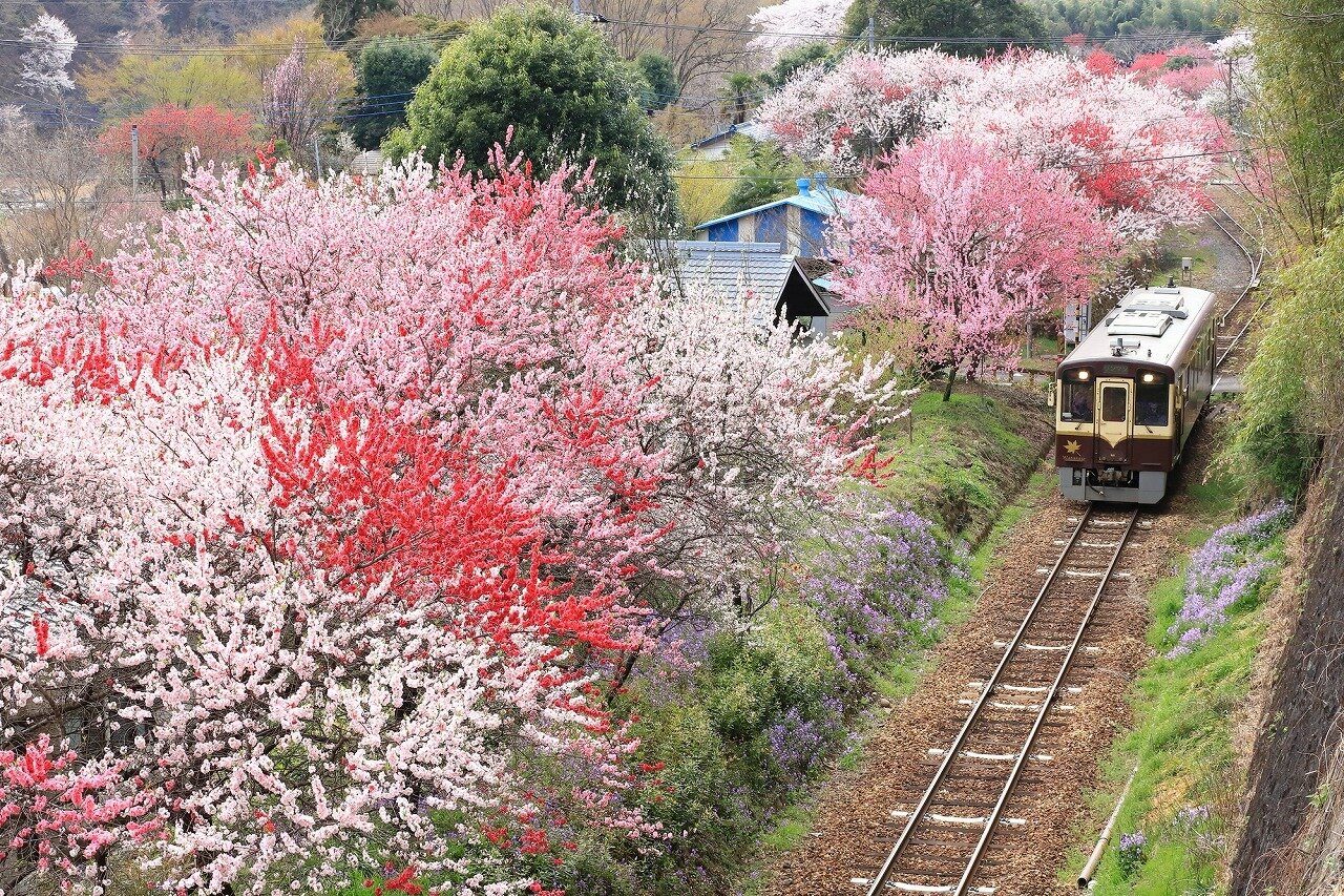 瀬戸寸同花入 長谷川青峯 ツロ 花活け 茶道 美術品