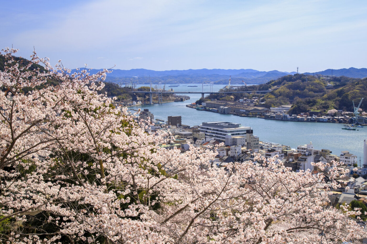 寺百選 
