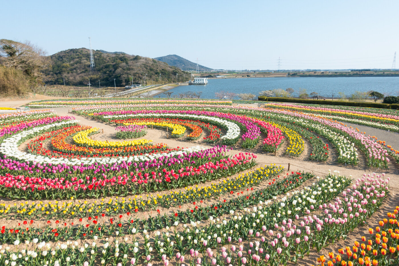 サンテパルクたはら | 愛知県 | 全国の花風景 | 「日本全国の花風景検索サイト【はなまっぷ】|季節ごとの開花情報やハッシュタグを使った写真投稿も」