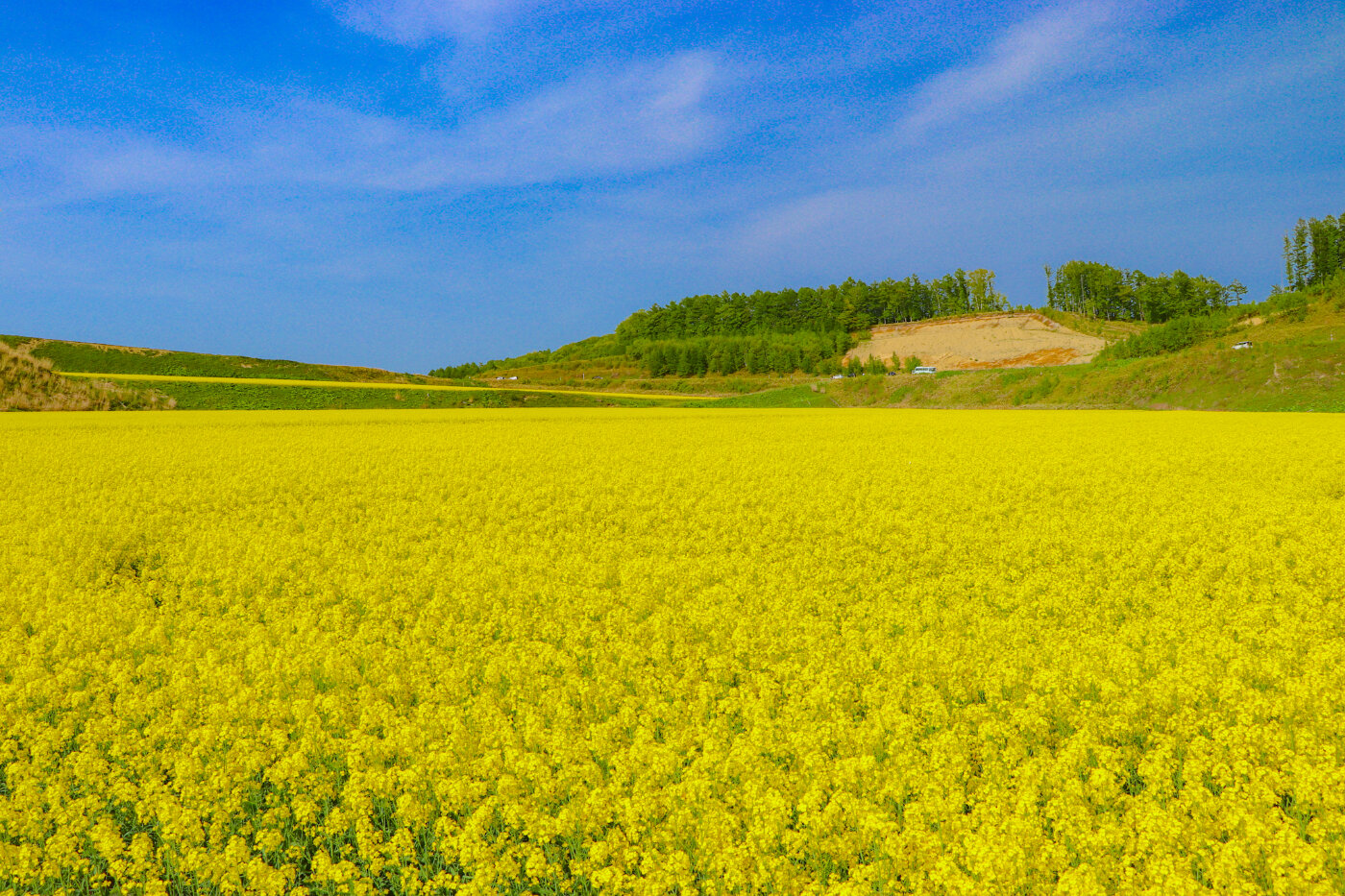 北海道 安平 町