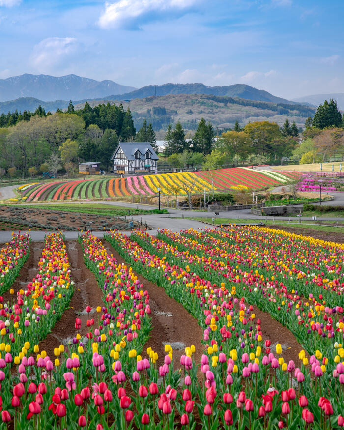 ひるがの高原 牧歌の里