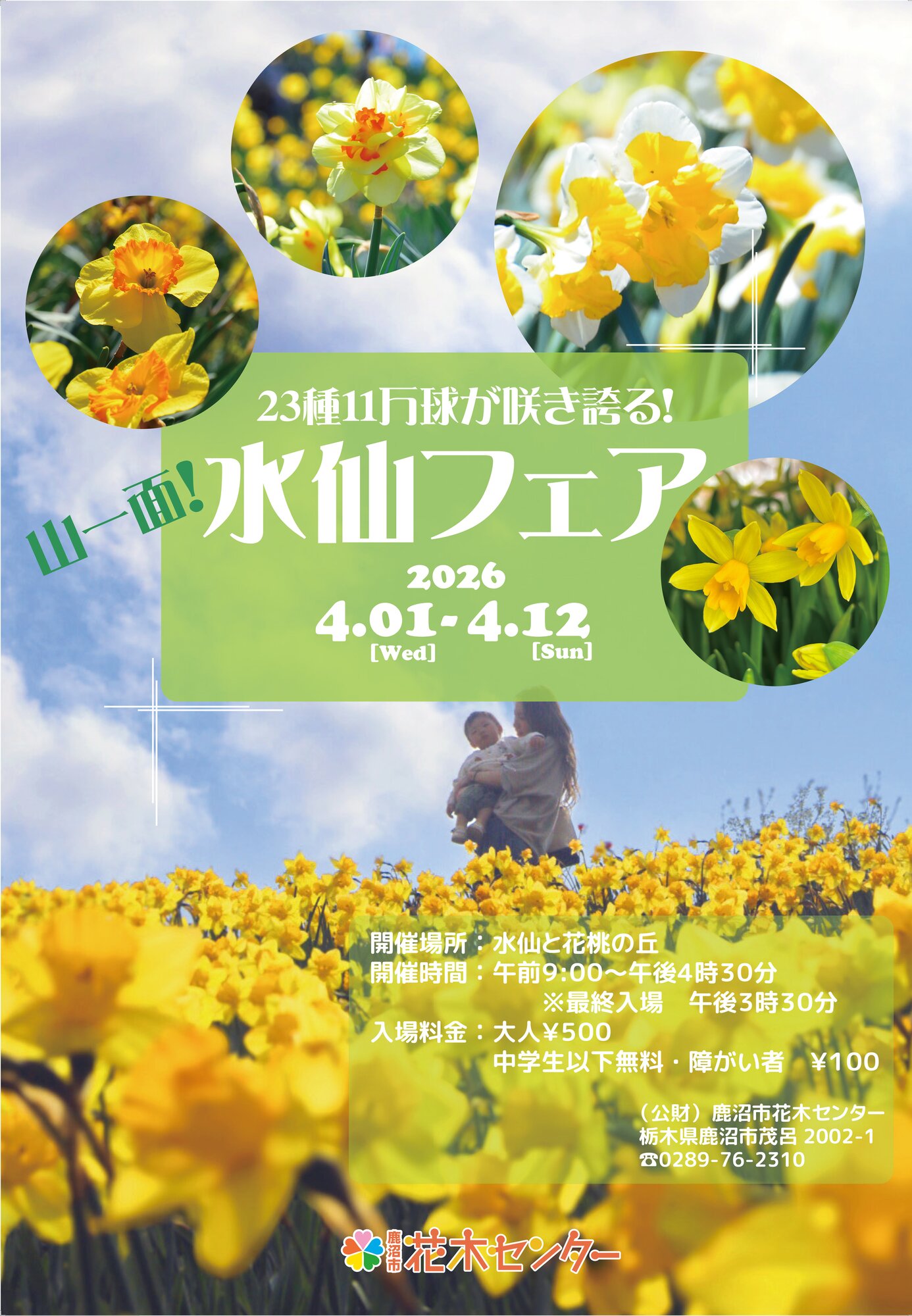 公財）鹿沼市花木センター 山一面 水仙フェア2026！ | 季節特集 | 特集